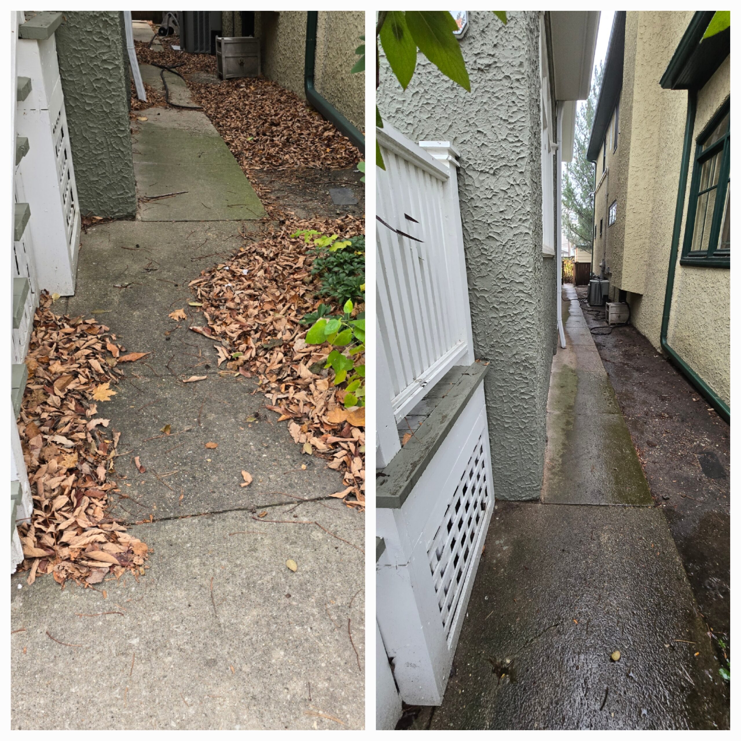 Big Cuts Cleanup